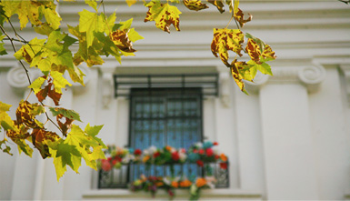 ��������ʱ(��ҳ)�������ǲ�!