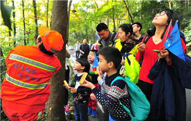 ��������ʱ(��ҳ)�������ǲ�!