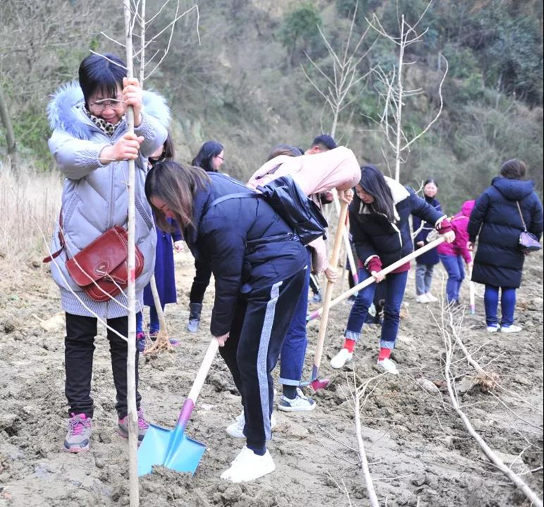 ��������ʱ(��ҳ)�������ǲ�!