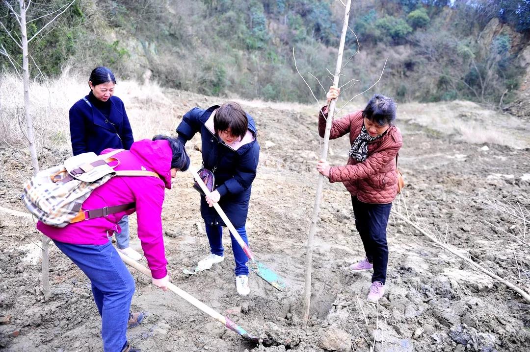 ��������ʱ(��ҳ)�������ǲ�!