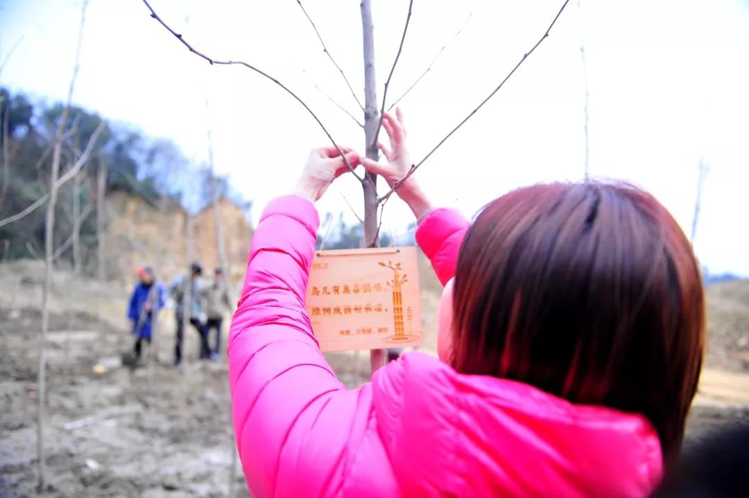 ��������ʱ(��ҳ)�������ǲ�!